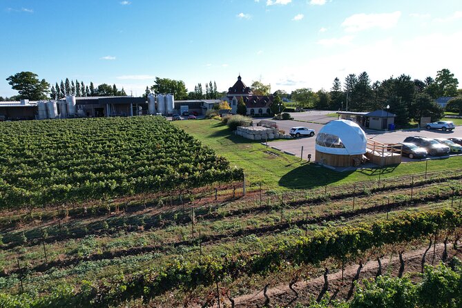 1 Hour Private Vineyard Dome Experience in Niagara-on-the-Lake - Where to meet and what the dome setup means for your day