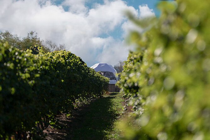 1 Hour Private Vineyard Dome Experience in Niagara-on-the-Lake - Who this dome tasting is best for