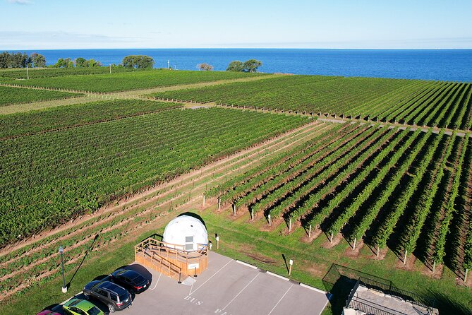 1 Hour Private Vineyard Dome Experience in Niagara-on-the-Lake - The 60-minute flow: guided pours plus chill time