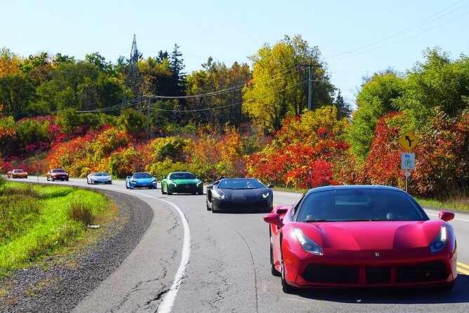3 Hour Exotic car Tour driving 4 to 5 Super cars - Niagara Supercar Driving in a 10-Person World