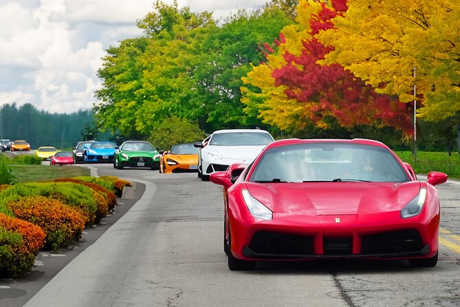3 Hour Exotic car Tour driving 4 to 5 Super cars - Behind the Wheel: How 4–5 Cars Fit Into 3 Hours