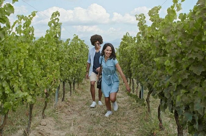 8 Hour Ontario Wine Tour with Cheese and Charcuterie - Niagara-on-the-Lake free time: shops, quick lunch, and resetting