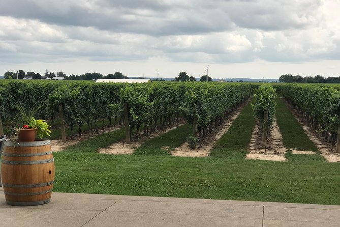 Afternoon Wine, Beer and Charcuterie Tour in Niagara-on-the-Lake - Stop 1: Niagara Oast House Brewers for farmhouse-focused beer tastings