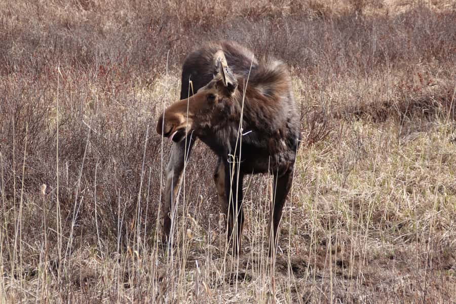 Algonquin Park Hiking: Adventure Tour from Toronto - The 12-Hour Structure: How Your Day Breaks Down