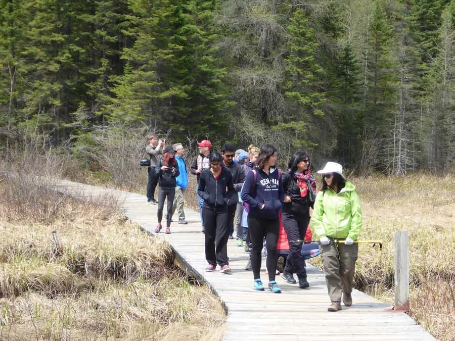 Algonquin Park Hiking: Adventure Tour from Toronto - The Trails and Stops: Lookouts, Waterfalls, and Lake Time