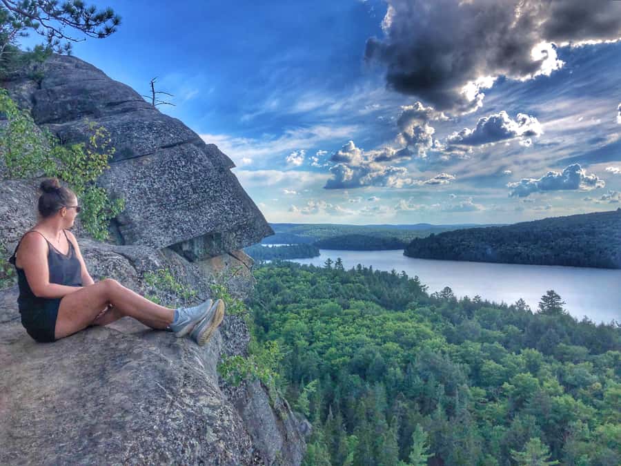 Algonquin Park Hiking: Adventure Tour from Toronto - Lake of Two Rivers Swim: The Optional Bonus That Changes the Day