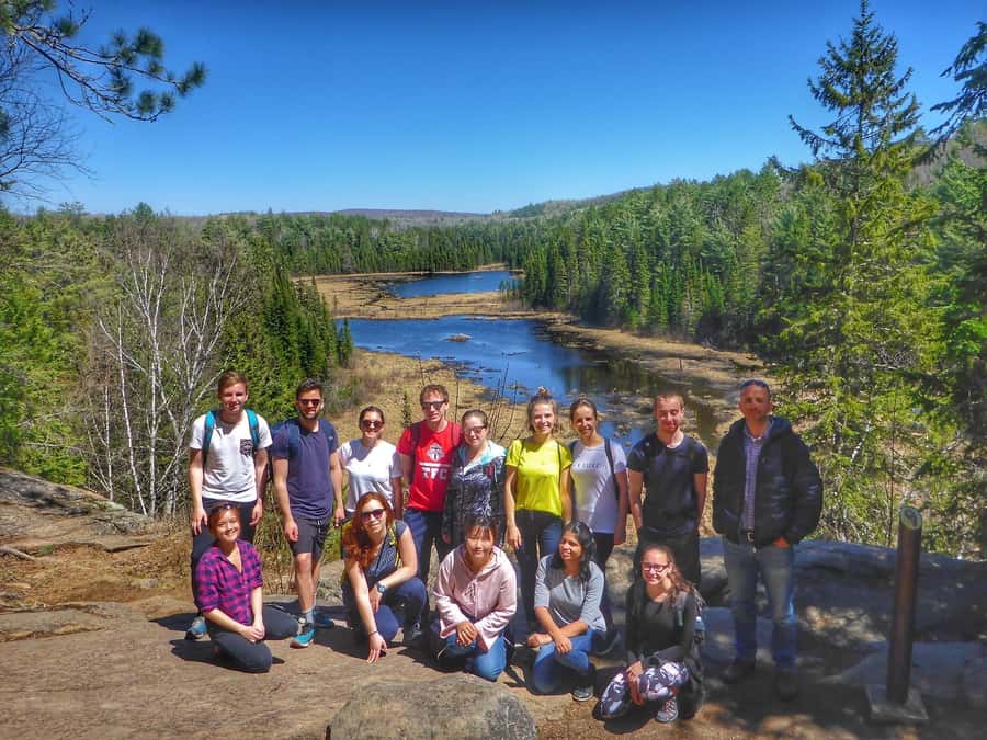 Algonquin Park Hiking: Adventure Tour from Toronto - Wildlife Spotting: Good Chances, No Guarantees