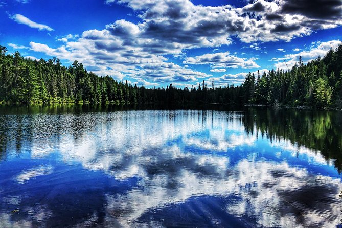 Algonquin Provincial Park Day Tour from Toronto - Toronto Pickup to Algonquin: How the Day Gets Moving