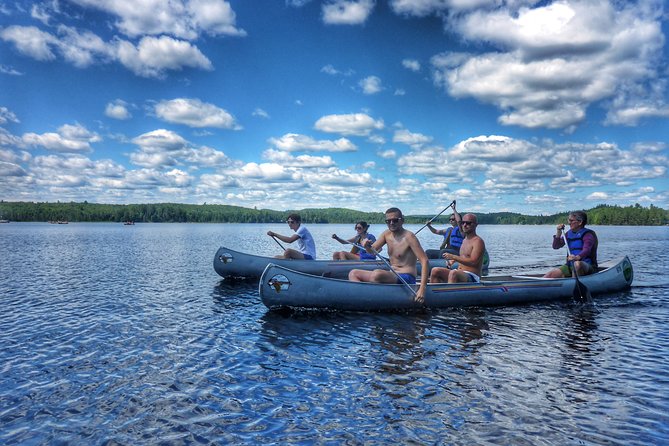 Algonquin Provincial Park Day Tour from Toronto - Beaver Pond Trail and Mizzy Lake: Where the Workout Shows Up