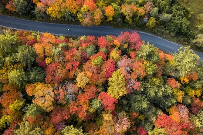 Algonquin Shuttle from Toronto - Key Things I’d Plan For