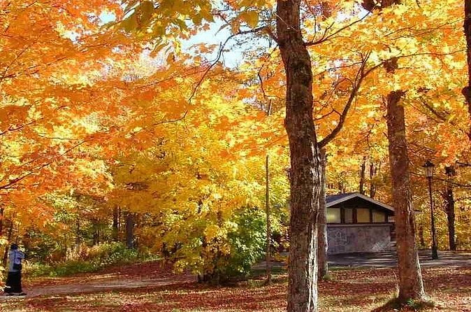Algonquin Shuttle from Toronto - On-Your-Own Hiking Maps: How to Use Them Without Stress