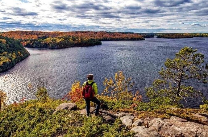 Algonquin Shuttle from Toronto - Barrie OnRoute on the Way Back: Quick Food and Washroom Reset