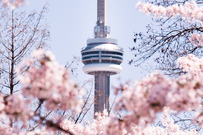Best of Toronto City Tour with Boat Cruise & CN Tower - CN Tower: Glass Views, the SkyTerrace, and Real Wow Photos
