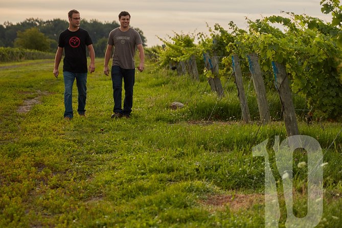 Between The Lines Classic Wine Tasting - The vibe in the tasting room (what to expect)
