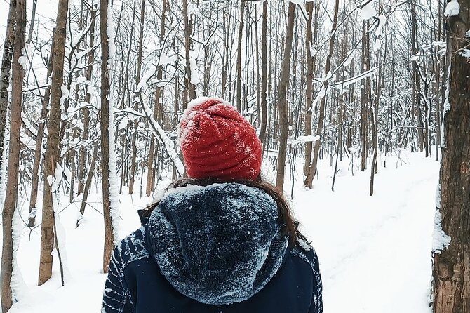 Blue Mountain and Scenic caves of Collingwood - What You’re Getting vs. What You’ll Need to Plan On