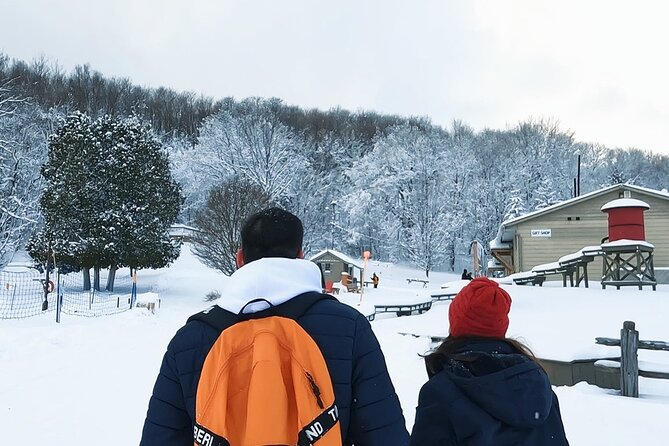Blue Mountain and Scenic caves of Collingwood - Guide Javier and a Smooth Day Rhythm You Can Actually Enjoy