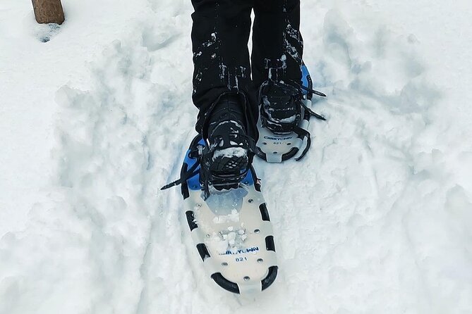 Blue Mountain and Scenic caves of Collingwood - Is This a Good Deal for a Winter Day Trip From Toronto?