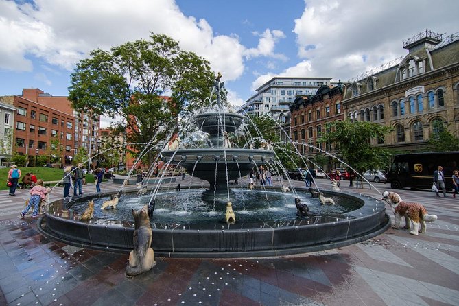 Discover Toronto Like a Local - Berczy Park and the dog fountain pause
