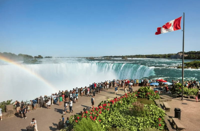 From Toronto: Private Full or Half Day Niagara Falls Tour - Who This Tour Suits Best (And Who Might Feel Underwhelmed)