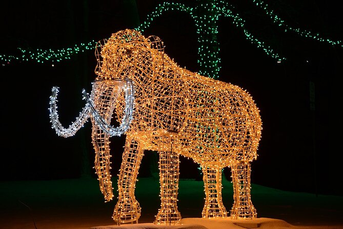 From Toronto:Winter Festival of Lights Niagara Falls Evening Tour - Price and What You Actually Get at $73.49
