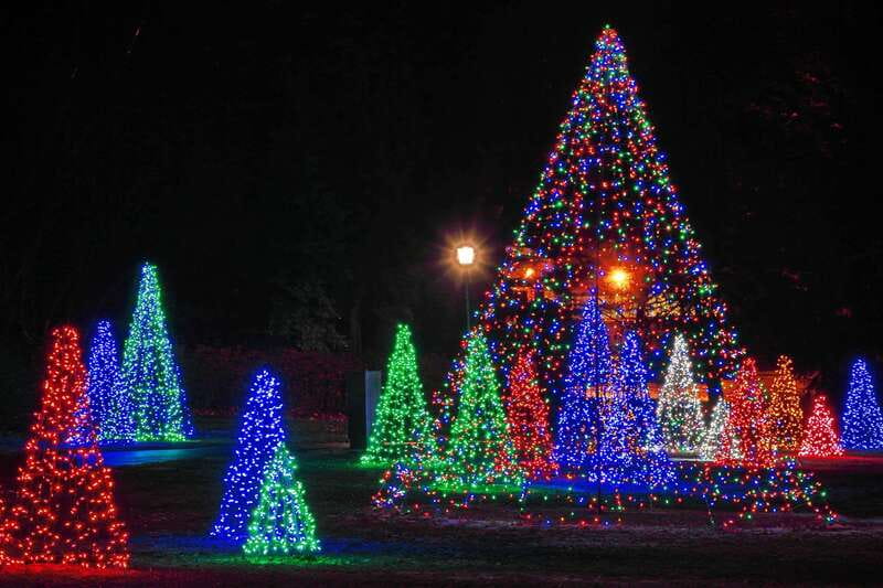 From Toronto: Winter Festival of Lights Niagara Falls Tour - Who this tour suits best (and who should skip it)