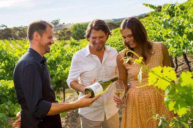 Grand Winery Tour - Rolls Royce - Niagara On The Lake - Stop 1 at Lakeview Wine Co.: estate tasting with you fully in the mix