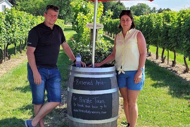 Grand Winery Tour - Rolls Royce - Niagara On The Lake - Stop 4 at Reif Estate: structured tasting plus cheese pairing