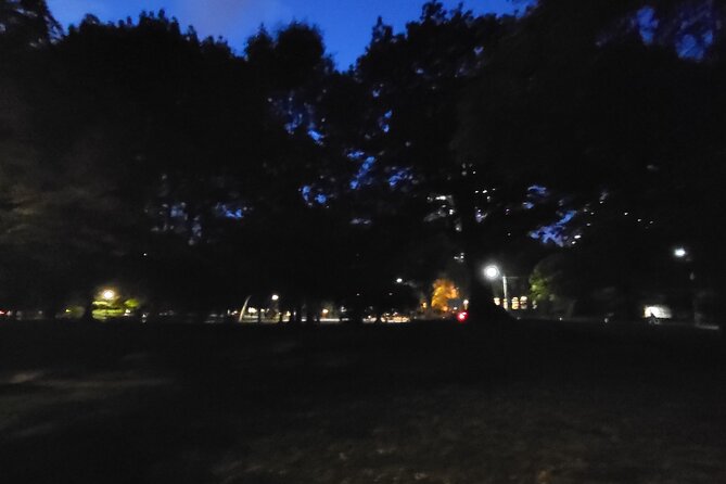 Haunt Hunt Walking Tour in Toronto - Queen’s Park: paranormal tools, 13 ghosts, and a night that feels safe