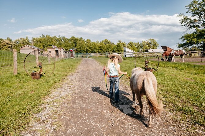 Humberstone Ranch Visit with Mini Domestic Animals - Indian Runner ducks and their waddle science