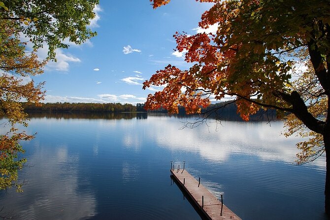Lake Muskoka and Algonquin Small Group 1-Day Tour From Toronto - Why this Toronto-to-Muskoka day trip feels like a real escape