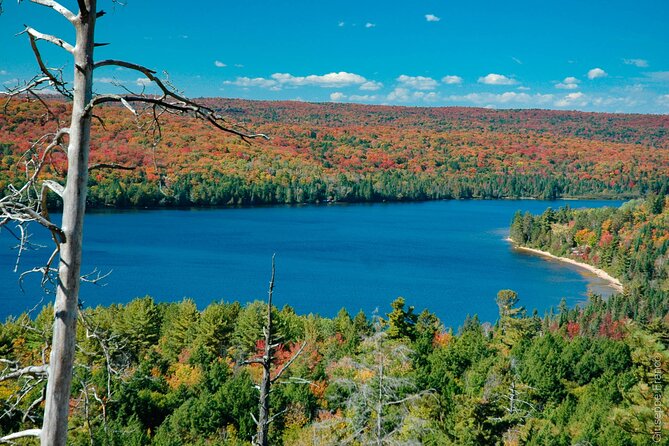Lake Muskoka and Algonquin Small Group 1-Day Tour From Toronto - Lake Couchiching: an easy first look at Central Ontario water