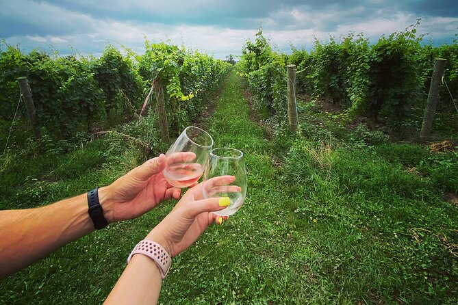 Lunch in the Vineyard: A Scenic Niagara Wine Tour Experience - Stop 3: Bella Terra Vineyards, family farming with playful tasting add-ons
