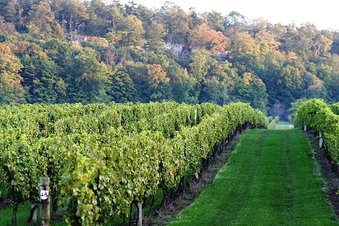 Luxury Private Tour of Niagara Falls from Toronto - Your Timeline: How to Make a 5–8 Hour Day Feel Comfortable