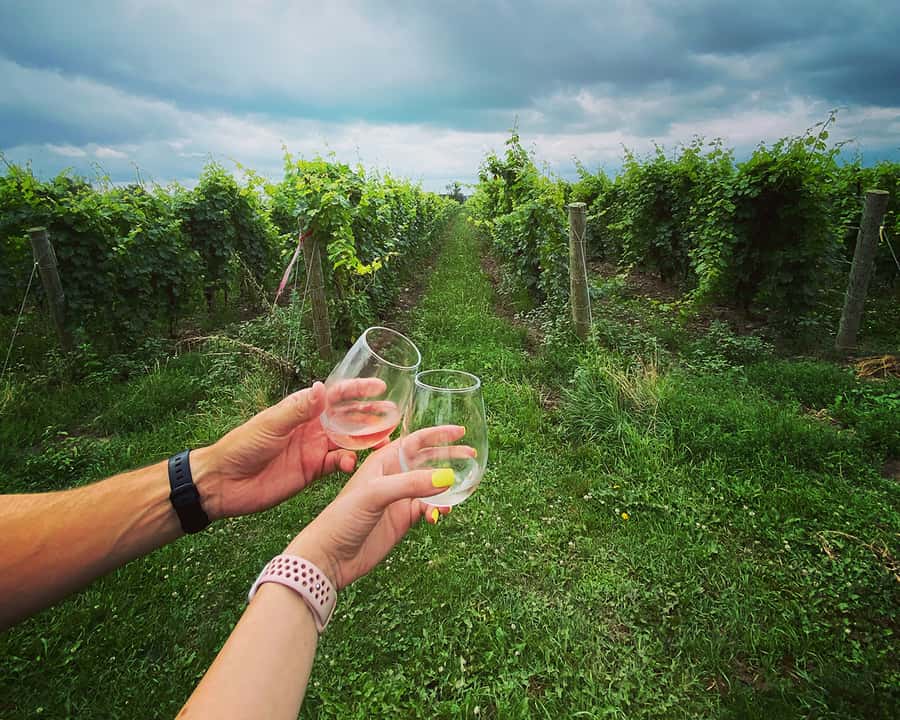 Niagara: A Twilight Wine Adventure With 3-Course Dinner - Why this Niagara twilight plan feels so efficient