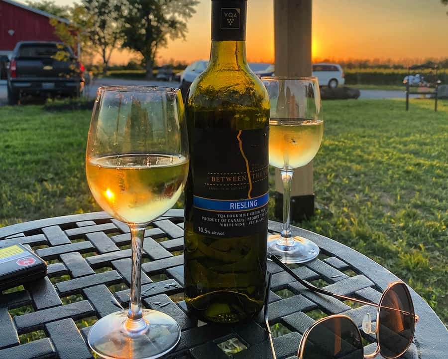 Niagara: A Twilight Wine Adventure With 3-Course Dinner - The wine circuit: 4 winery stops and 12–16 tastings