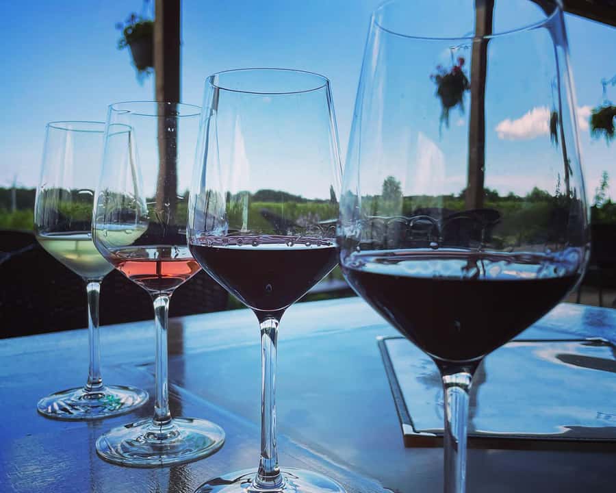 Niagara: A Twilight Wine Adventure With 3-Course Dinner - Your guide’s role: what you actually get besides wine