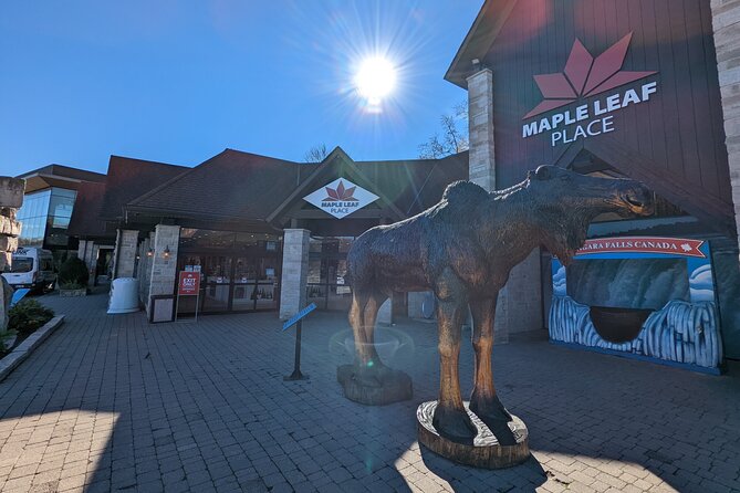 Niagara Falls All-Inclusive Guided Day Tour From Toronto - The guide makes or breaks the flow (and you have examples)