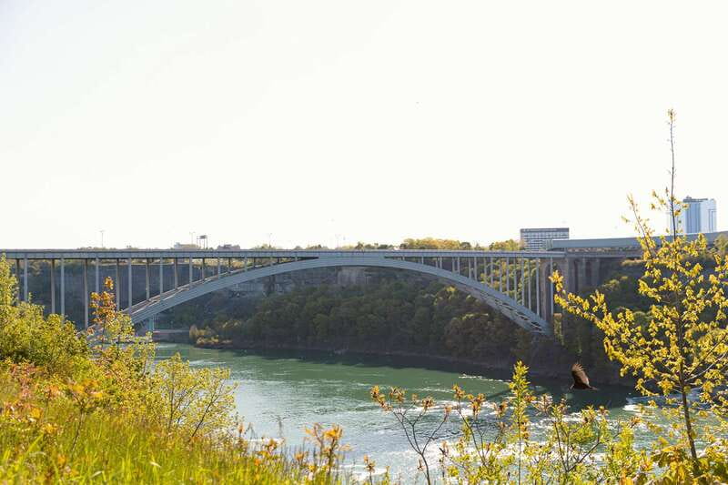 Niagara Falls: Boat Trip & Journey Behind the Falls Tour - The Niagara City Cruises boat ride: mist, speed, and daredevil stories