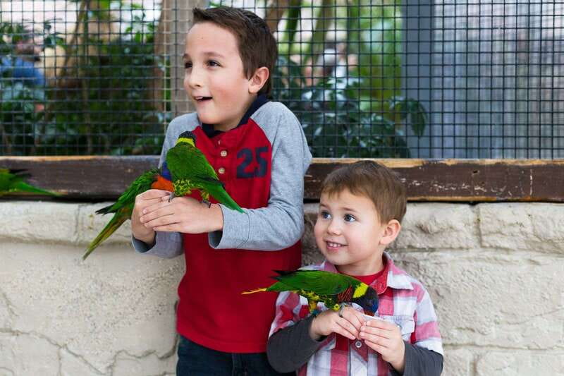 Niagara Falls, Canada: Bird Kingdom Entry Ticket - Animal Encounters: parrots and other exotic creatures