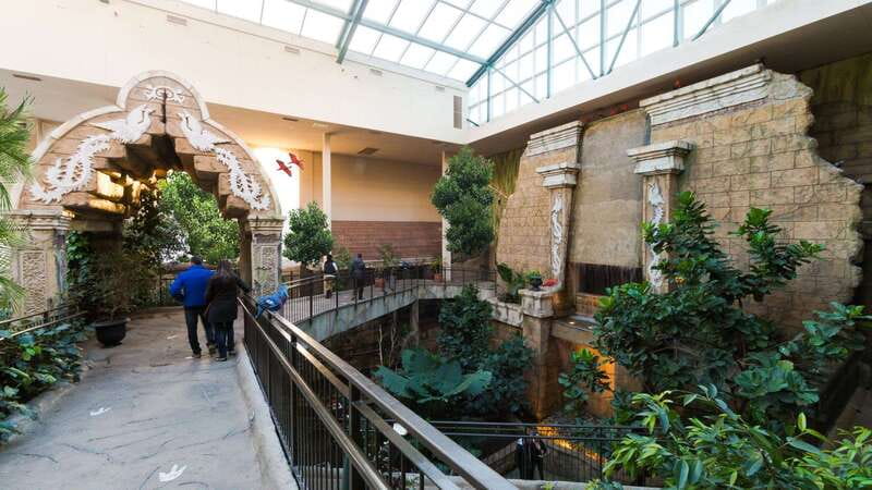 Niagara Falls, Canada: Bird Kingdom Entry Ticket - Timing your 45–60 minute visit with Niagara Falls plans