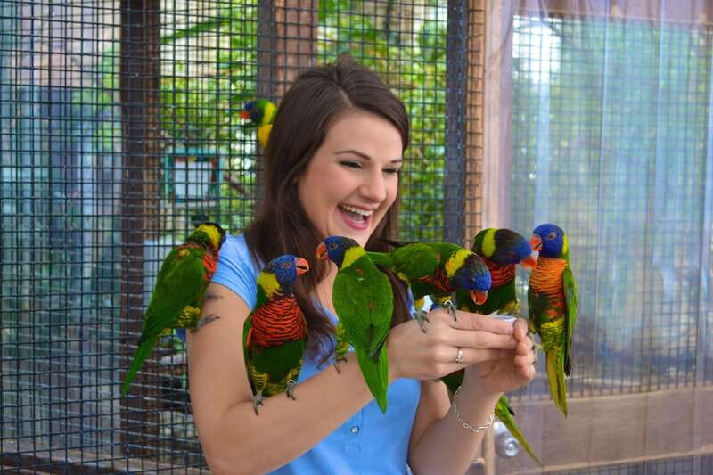 Niagara Falls, Canada: Bird Kingdom Entry Ticket - Stepping into the world’s largest free-flying indoor aviary