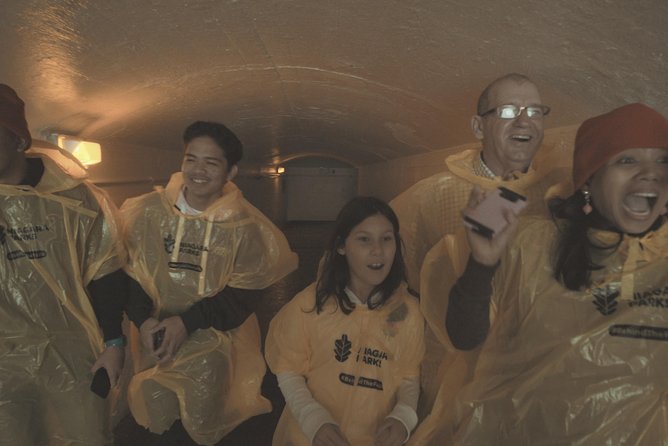 Niagara Falls Canada Day + Night Small Group Tour w/Falls Dinner - Niagara City Cruises (Hornblower): mist, poncho, and a front-row feel