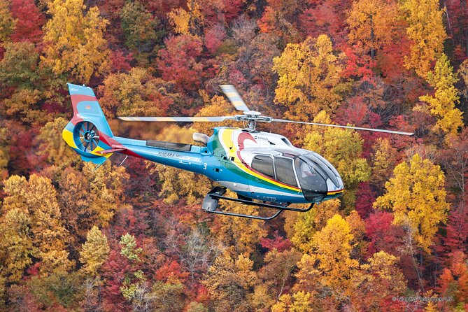 Niagara Falls Canada Helicopter Tour - The headset commentary: useful, not just background noise