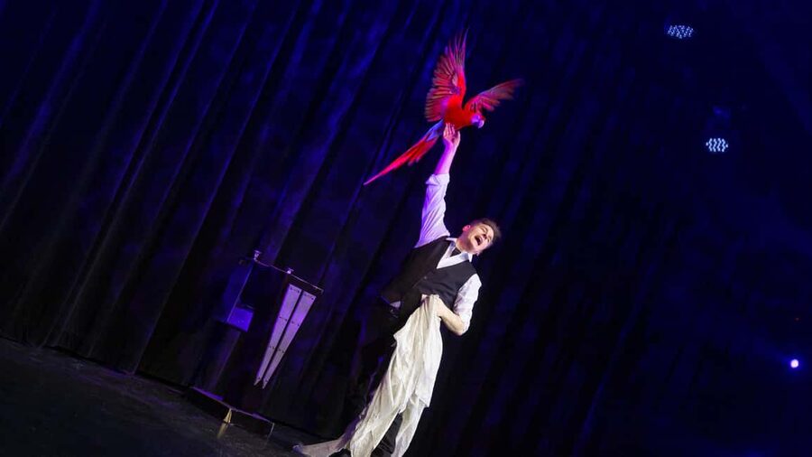 Niagara Falls, Canada: Wild Magic Show Ticket - Who should book Wild Magic in Niagara Falls