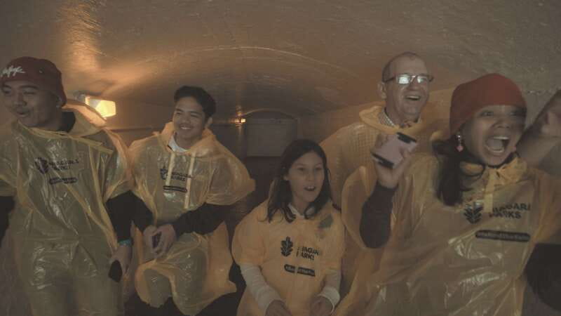 Niagara Falls: Day & Night Tour with Boat Ride and Dinner - Key highlights worth planning around