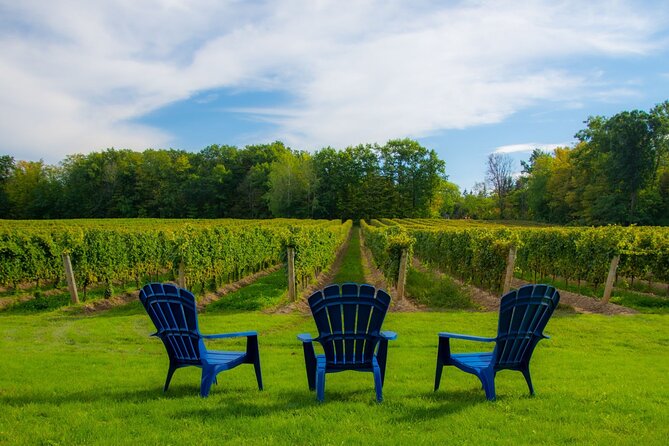 Niagara Falls Day Tour from Toronto (9 Hours) - Coach comfort and guide help that actually makes stops easier