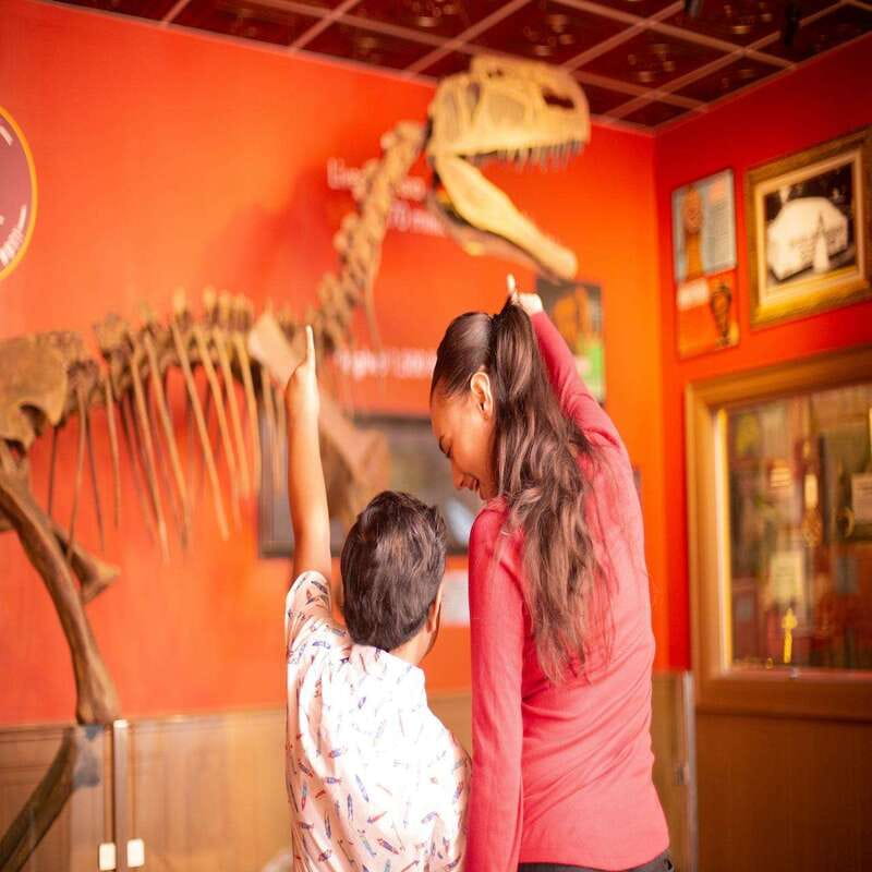 Niagara Falls: Ripley's Believe It or Not! Museum Entry - Odditorium in Niagara Falls: 800+ bizarre artifacts
