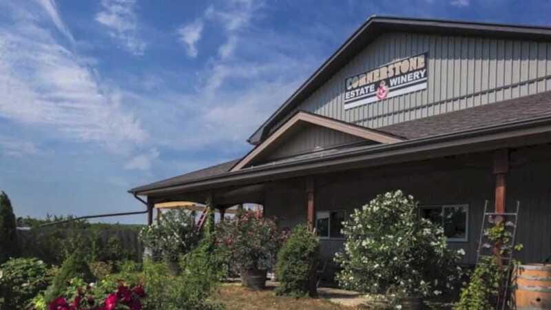 Niagara Falls: Winter Niagara Wine Tour with Transportation - Caroline Cellars: family-owned tastings with time to browse