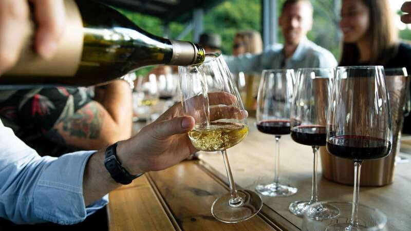 Niagara Falls: Winter Niagara Wine Tour with Transportation - Wayne Gretzky and Trius: a shopping-heavy finale with samples not included