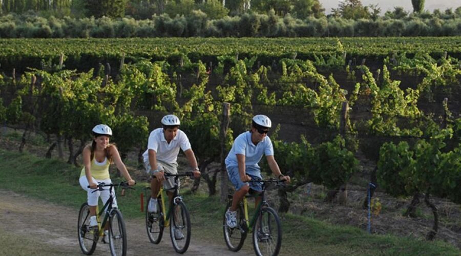 Niagara-on-the-Lake: Bicycle Tour with Wine Tasting - Why a Bike Tour Makes Sense in Niagara-on-the-Lake